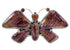 Purple Oyster Shell Large Statement Butterfly Ring Size 6-1/2 PS72872